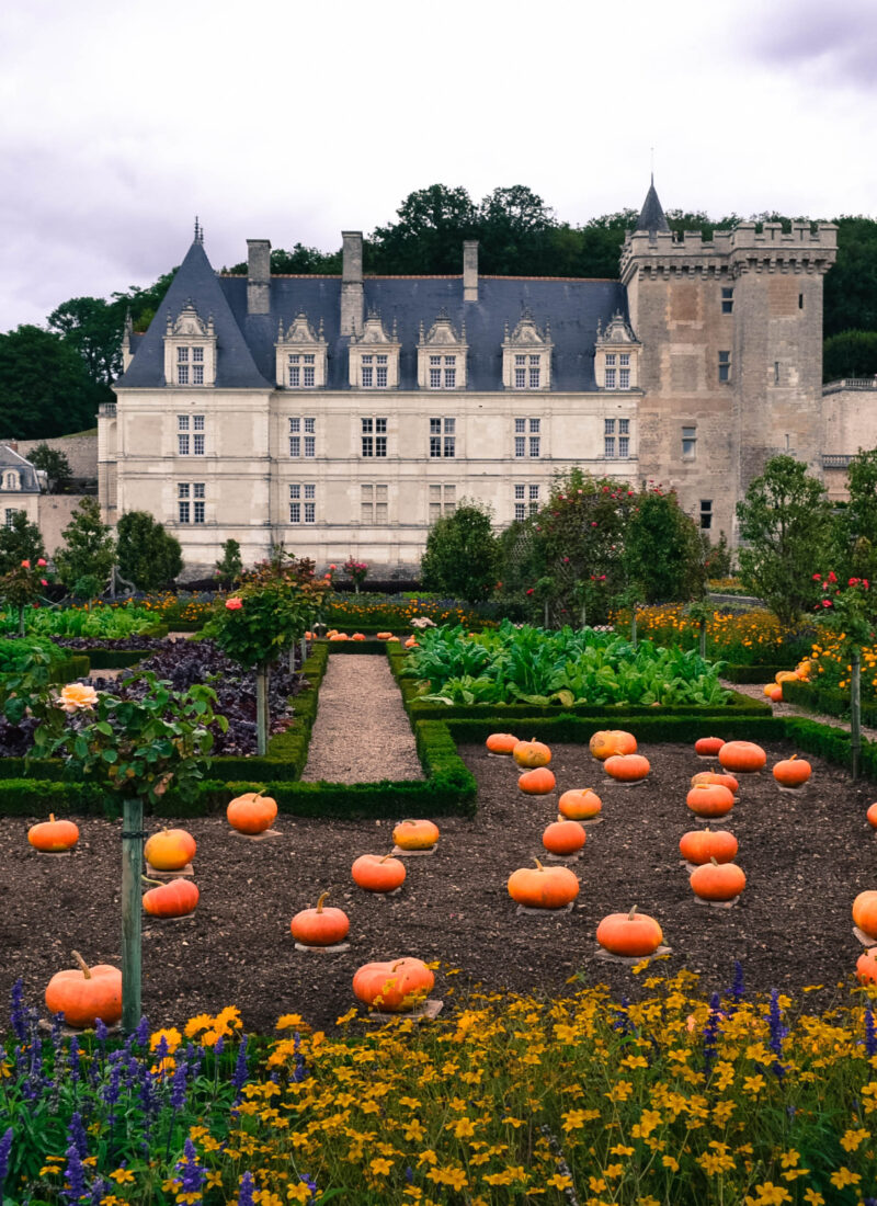 7 Most Beautiful Castles in France to Visit