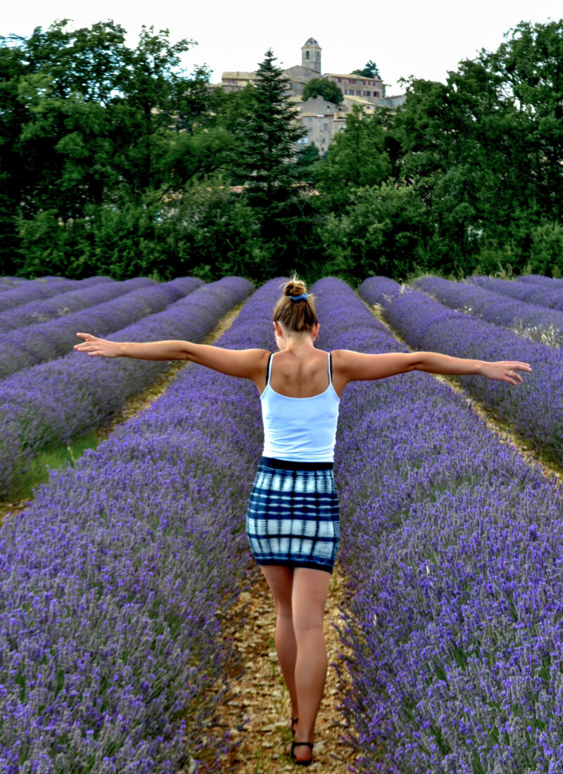 Where to See Lavender Fields in Provence