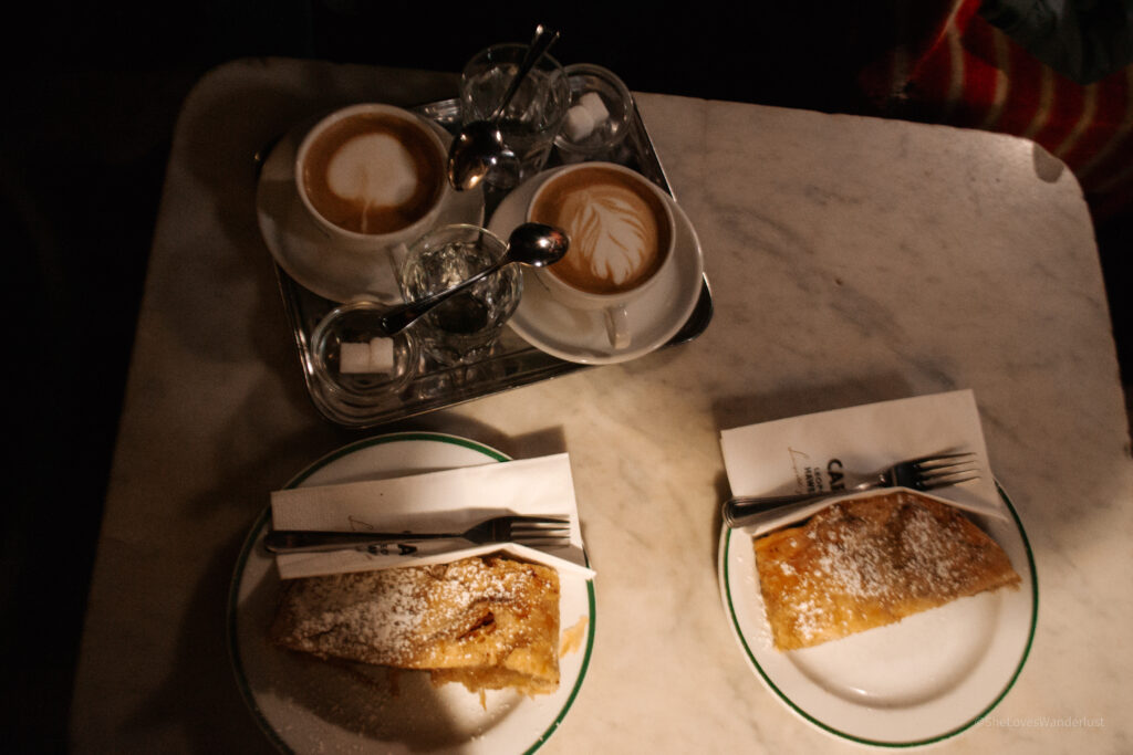 coffee and apple strudel at Café Leopold Halwelka in Vienna, Austria